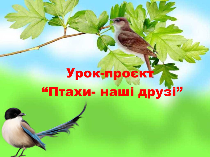 Урок-проєкт  “Птахи- наші друзі” 