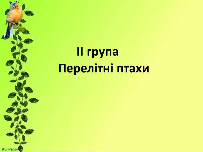                                                                                                         ІІ група Перелітні птахи 