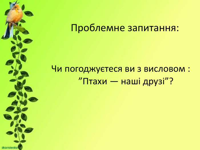                                                                                          Проблемне запитання:                                 Чи погоджуєтеся ви з висловом :                        ”Птахи — наші друзі”? 