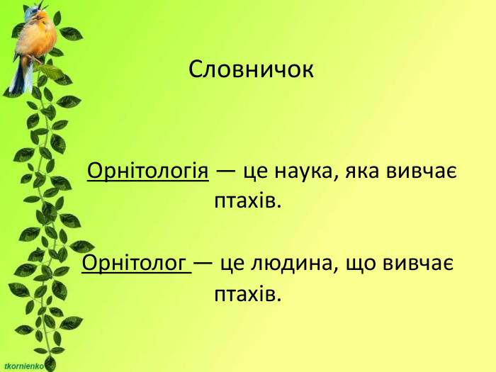                                                    Словничок                 Орнітологія — це наука, яка вивчає птахів.         Орнітолог — це людина, що вивчає  птахів. 