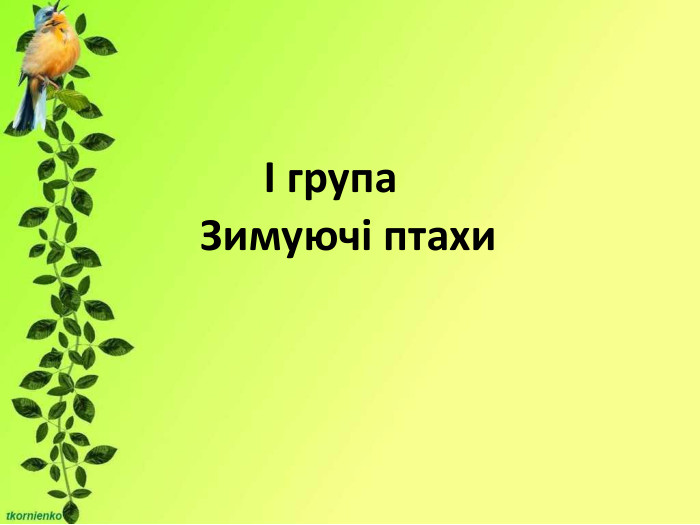                                                                                                         І група Зимуючі птахи 