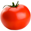 Resultado de imagen para tomato