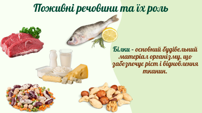 Поживні речовини та їх роль. Білки – основний будівельний матеріал організму, що забезпечує ріст і відновлення тканин.