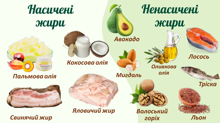 Насиченіжири. Ненасиченіжири. Свинячий жир. Яловичий жир. Кокосова олія Пальмова олія Лосось. Тріска. Авокадо. Оливковаолія. Мигдаль. Льон. Волоськийгоріх