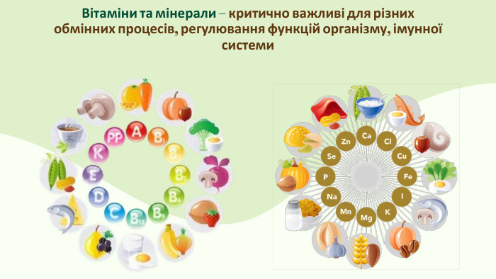 Вітаміни та мінерали – критично важливі для різних обмінних процесів, регулювання функцій організму, імунної системи