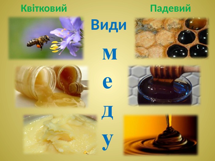 Падевий Квітковий Видимеду