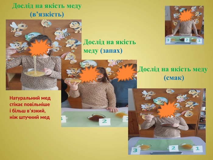 Дослід на якість меду(в’язкість)Дослід на якість меду (запах) Дослід на якість меду (смак)Натуральний мед стікає повільніше і більш в’язкий, ніж штучний мед