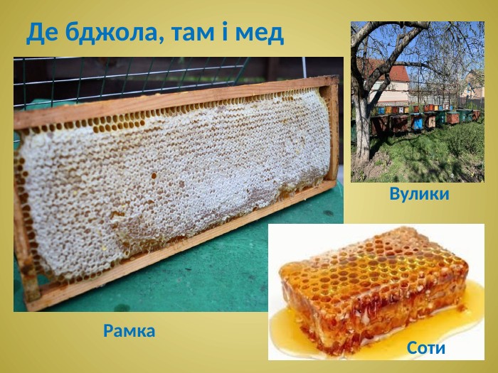 Рамка. Соти. Вулики. Де бджола, там і мед