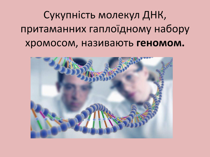 Сукупність молекул ДНК, притаманних гаплоїдному набору хромосом, називають геномом.