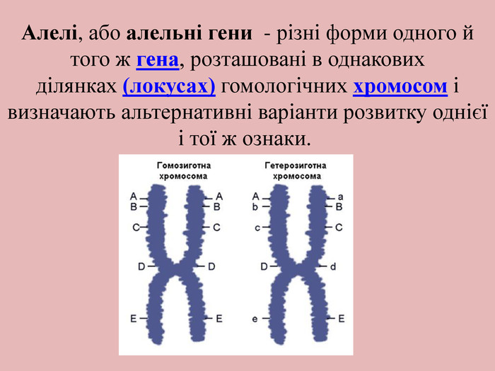 Алелі, або алельні гени  - різні форми одного й того ж гена, розташовані в однакових ділянках (локусах) гомологічних хромосом і визначають альтернативні варіанти розвитку однієї і тої ж ознаки. 