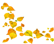 Описание: Осенние листья падают, изолированные на белом фоне — стоковое фото