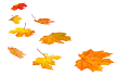 Описание: Осенняя карта оставляет фоновый фон — стоковое фото