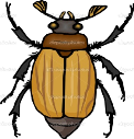 Жуки в клип-арте сайта "ЗооКлуб" (библиотека схематичных и шутливых рисунков жуков)
