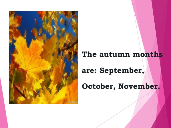 The autumn monthsare: September,October, November. 
