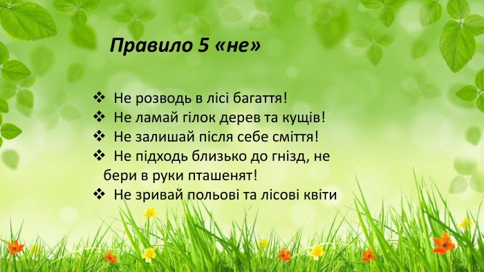 Правило 5 «не» Не розводь в лісі багаття! Не ламай гілок дерев та кущів! Не залишай після себе сміття! Не підходь близько до гнізд, не бери в руки пташенят! Не зривай польові та лісові квіти