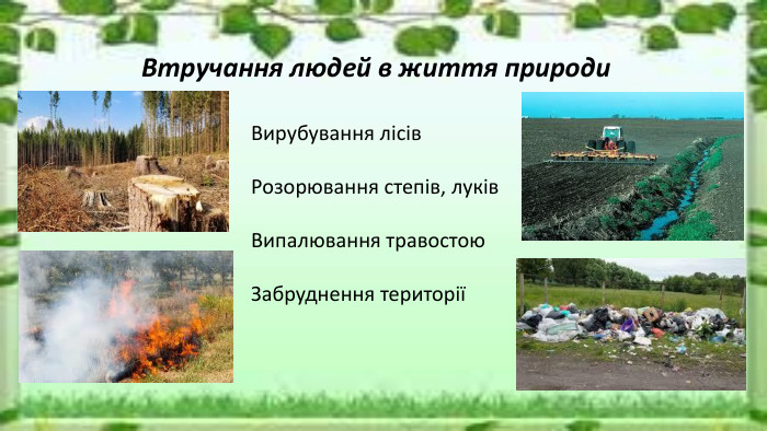 Втручання людей в життя природи. Вирубування лісів. Розорювання степів, луків. Випалювання травостою. Забруднення території