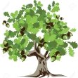 http://previews.123rf.com/images/sinaappel/sinaappel1201/sinaappel120100028/11784818-Big-green-oak-tree-illustration--Stock-Vector-silhouette.jpg