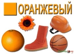 http://bukashka.org/wp-content/2010/01/oranj.jpg