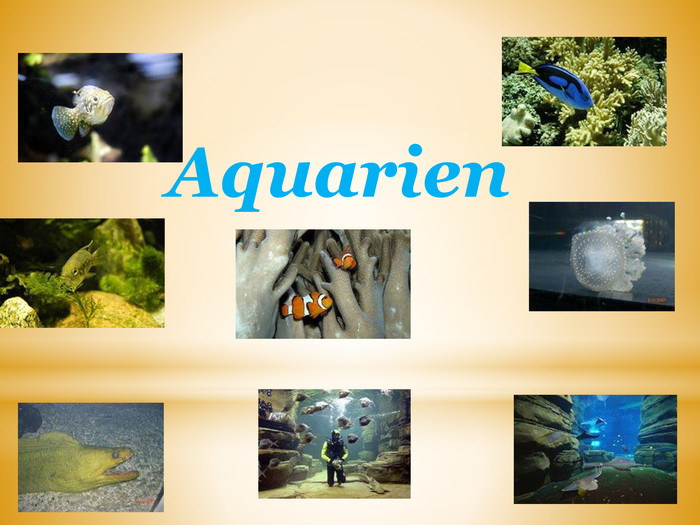  Aquarien