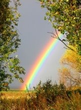 D:\картинки\Rainbow.jpg