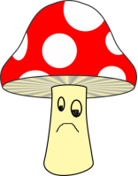 mushroom-1601826_960_720