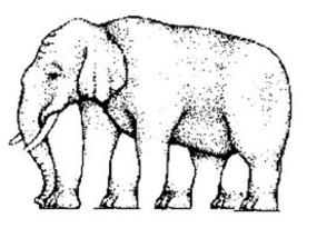 elephant with legs