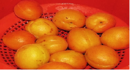 http://www.glav-dacha.ru/wp-content/uploads/2017/02/kompot-iz-abrikos-i-apelsina-na-zimu-3.jpg