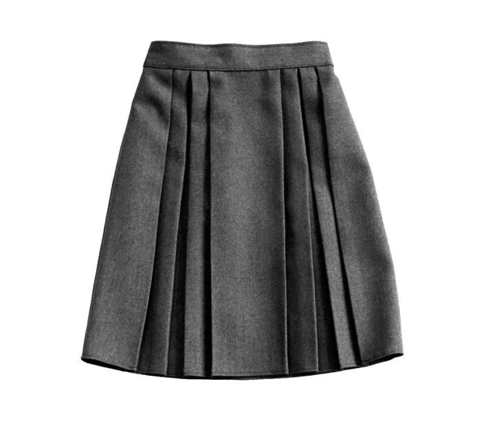 http://www.coatpant.com/wp-content/uploads/2013/01/Pleat-Skirt.jpg