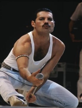 Фредди Меркьюри Freddie Mercury (1946–1991), британский музыкант и вокалист группы Queen.