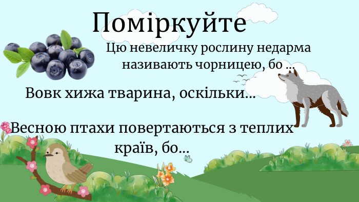 Поміркуйте. Цю невеличку рослину недарма називають чорницею, бо ... Вовк хижа тварина, оскільки... Весною птахи повертаються з теплих країв, бо...