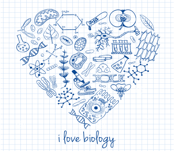 biology-drawings-heart-shape-illustration-doodles-33012383.jpg