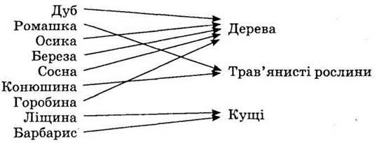 http://subject.com.ua/lesson/nature/1klas_1/1klas_1.files/image017.jpg