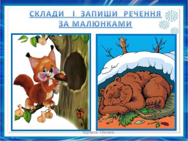 Картинки по запросу тварини які сплять цілу зиму