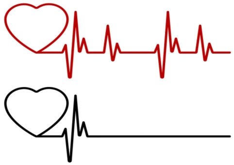 Heart beat line red and black red heartbeat line Vector Image