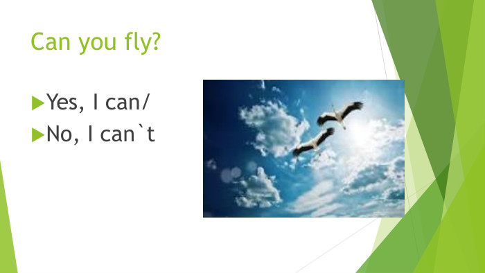Can you fly?Yes, I can/No, I can`t