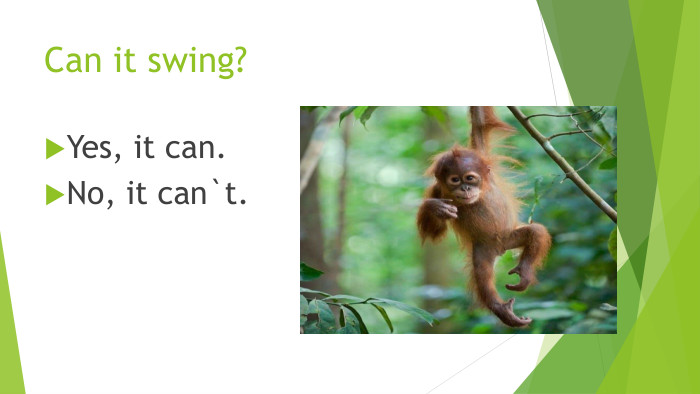 Can it swing?Yes, it can. No, it can`t.