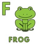 Картинки по запросу "flash cards frog"