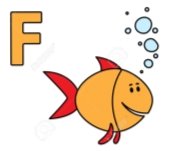 Картинки по запросу "fish flashcard"