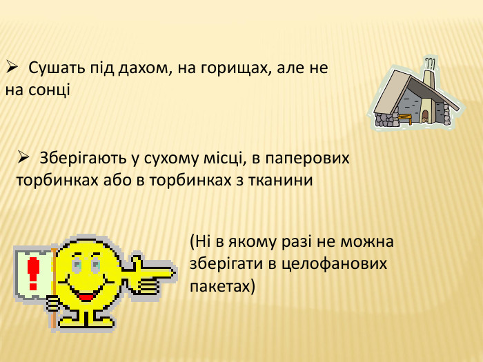  Сушать під дахом, на горищах, але не на сонці Зберігають у сухому місці, в паперових торбинках або в торбинках з тканини(Ні в якому разі не можна зберігати в целофанових пакетах)