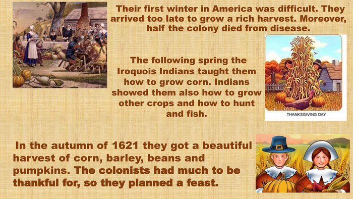  Their first winter in America was difficult. They arrived too late to grow a rich harvest. Moreover, half the colony died from disease. The following spring the Iroquois Indians taught them how to grow corn. Indians showed them also how to grow other crops and how to hunt and fish. In the autumn of 1621 they got a beautiful harvest of corn, barley, beans and pumpkins. The colonists had much to be thankful for, so they planned a feast. 