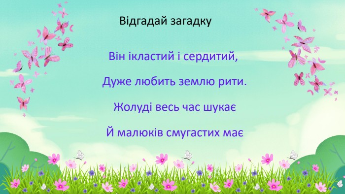 Відгадай загадку. Він ікластий і сердитий, Дуже любить землю рити. Жолуді весь час шукає Й малюків смугастих має