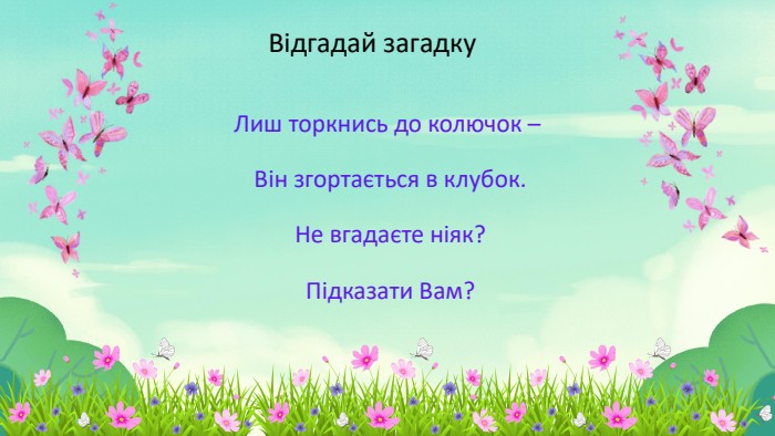 Лиш торкнись до колючок – Він згортається в клубок. Не вгадаєте ніяк? Підказати Вам?Відгадай загадку