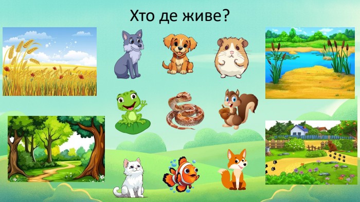 Хто де живе? 