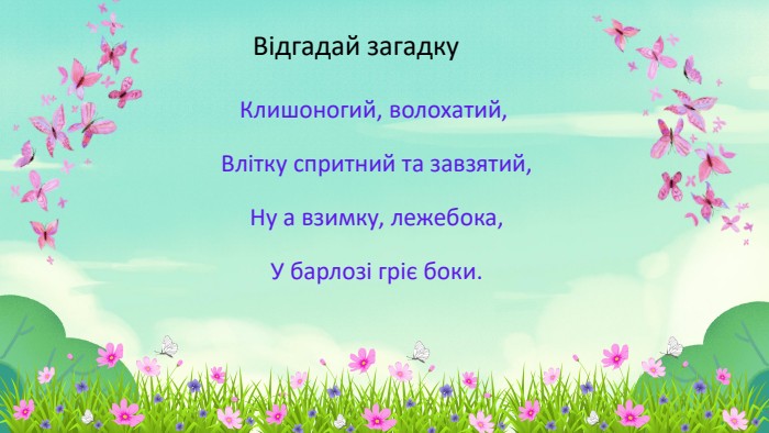 Клишоногий, волохатий, Влітку спритний та завзятий, Ну а взимку, лежебока, У барлозі гріє боки. Відгадай загадку