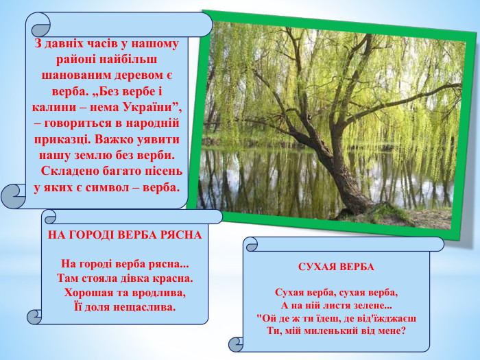  З давніх часів у нашому районі найбільш шанованим деревом є верба. „Без вербе і калини – нема України”, – говориться в народній приказці. Важко уявити нашу землю без верби. Складено багато пісень у яких є символ – верба. НА ГОРОДІ ВЕРБА РЯСНА На городі верба рясна... Там стояла дівка красна. Хорошая та вродлива,Її доля нещаслива. CУХАЯ ВЕРБА Сухая верба, сухая верба, А на ній листя зелене... 