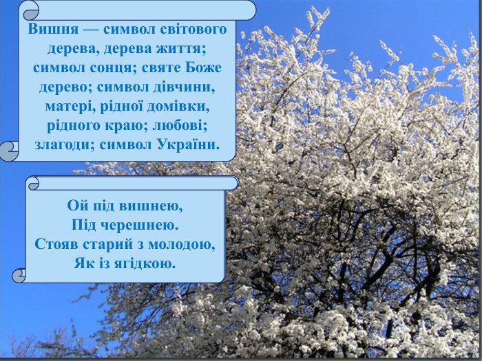 Вишня — символ світового дерева, дерева життя; символ сонця; святе Боже дерево; символ дівчини, матері, рідної домівки, рідного краю; любові; злагоди; символ України. На городі верба рясна... Там стояла дівка красна. Хорошая та вродлива,Її доля нещаслива. Ой під вишнею,Під черешнею. Стояв старий з молодою,Як із ягідкою.