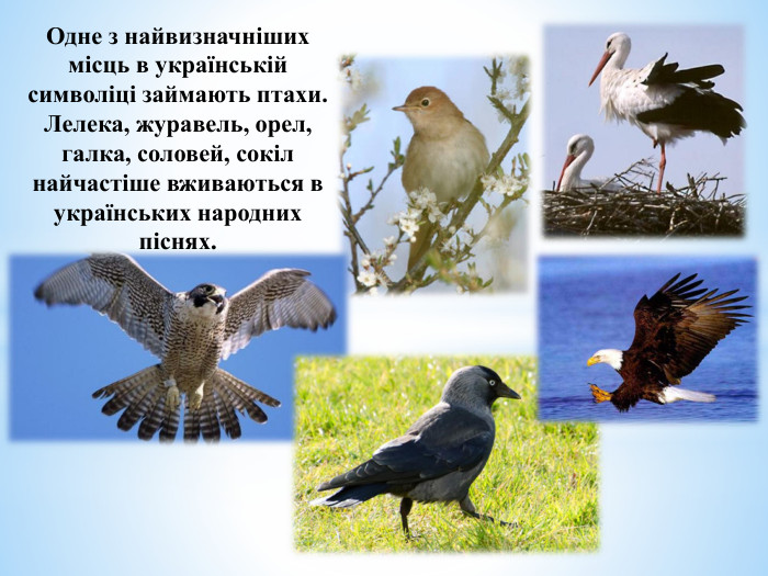 Одне з найвизначніших місць в українській символіці займають птахи. Лелека, журавель, орел, галка, соловей, сокіл найчастіше вживаються в українських народних піснях.
