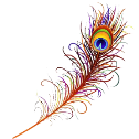 http://www.undercover-coaching.com/update/wp-content/uploads/peacock-feather-bright.png