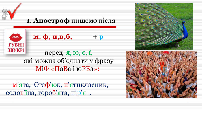 1. Апостроф пишемо після м, ф, п,в,б, + р перед Я, Ю, Є, Ї, які можна об’єднати у фразу МіФ «Па. Ва і ю. РБа»: м’ята, Стеф’юк, п’ятикласник, солов’їна, гороб’ята, пір’я .