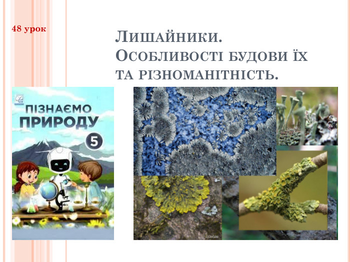 Лишайники. Особливості будови їх та різноманітність. 48 урок